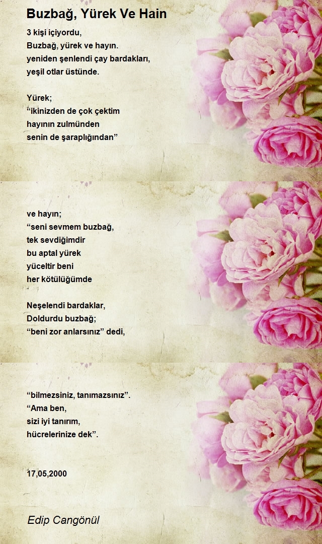 Edip Cangönül