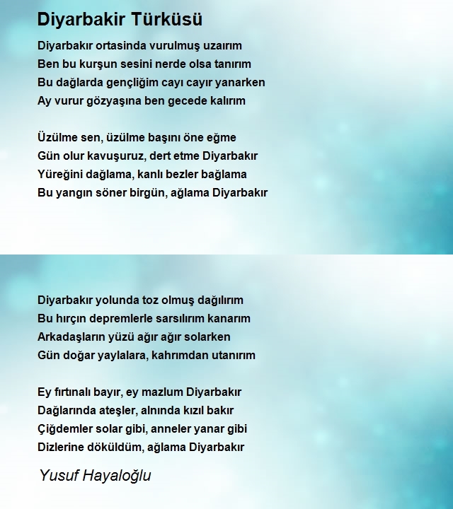Yusuf Hayaloğlu