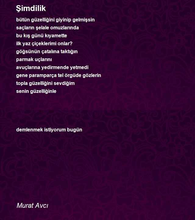 Murat Avcı