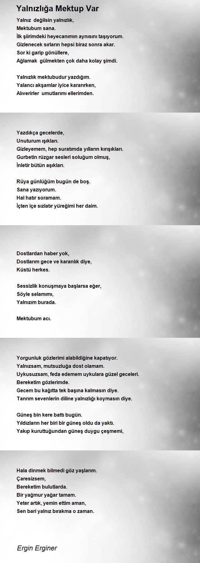 Ergin Erginer