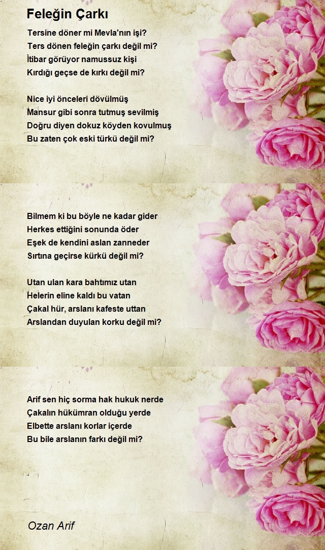 Ozan Arif
