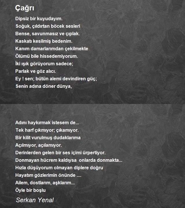 Serkan Yenal