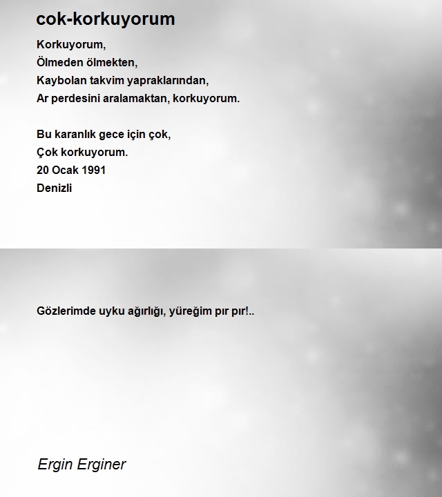 Ergin Erginer