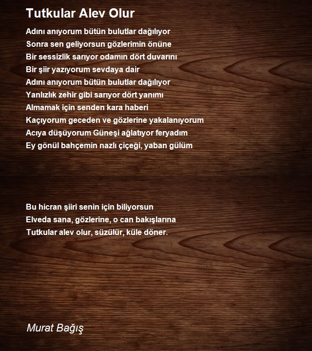 Murat Bağış
