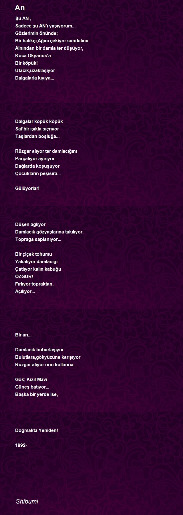 Shibumi Bmutlu
