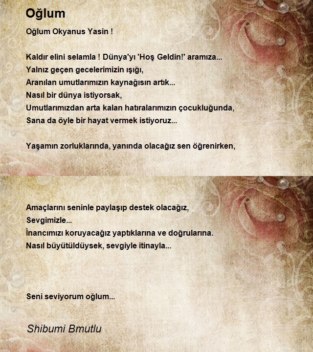 Shibumi Bmutlu
