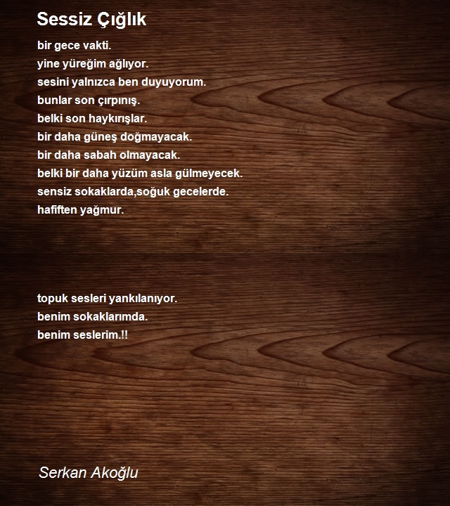 Serkan Akoğlu