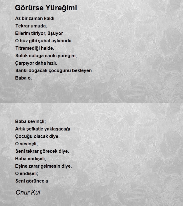 Onur Kul