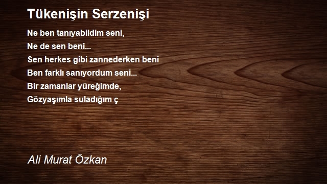 Ali Murat Özkan