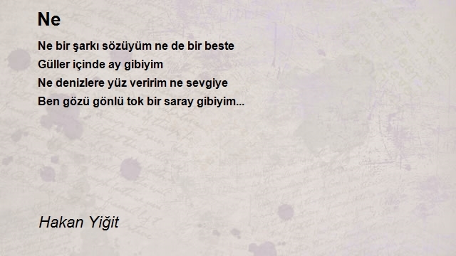 Hakan Yiğit