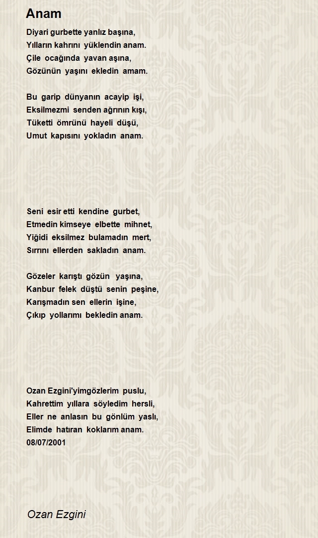 Ozan Ezgini