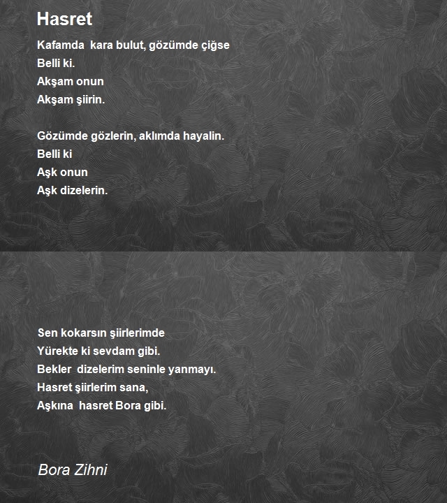 Bora Zihni