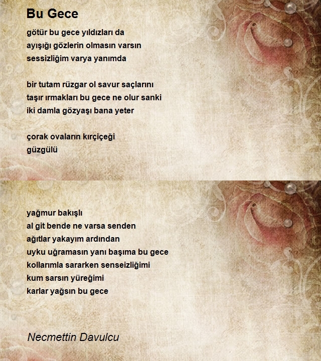Necmettin Davulcu