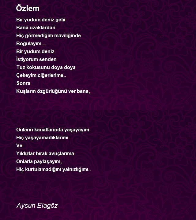 Aysun Elagöz