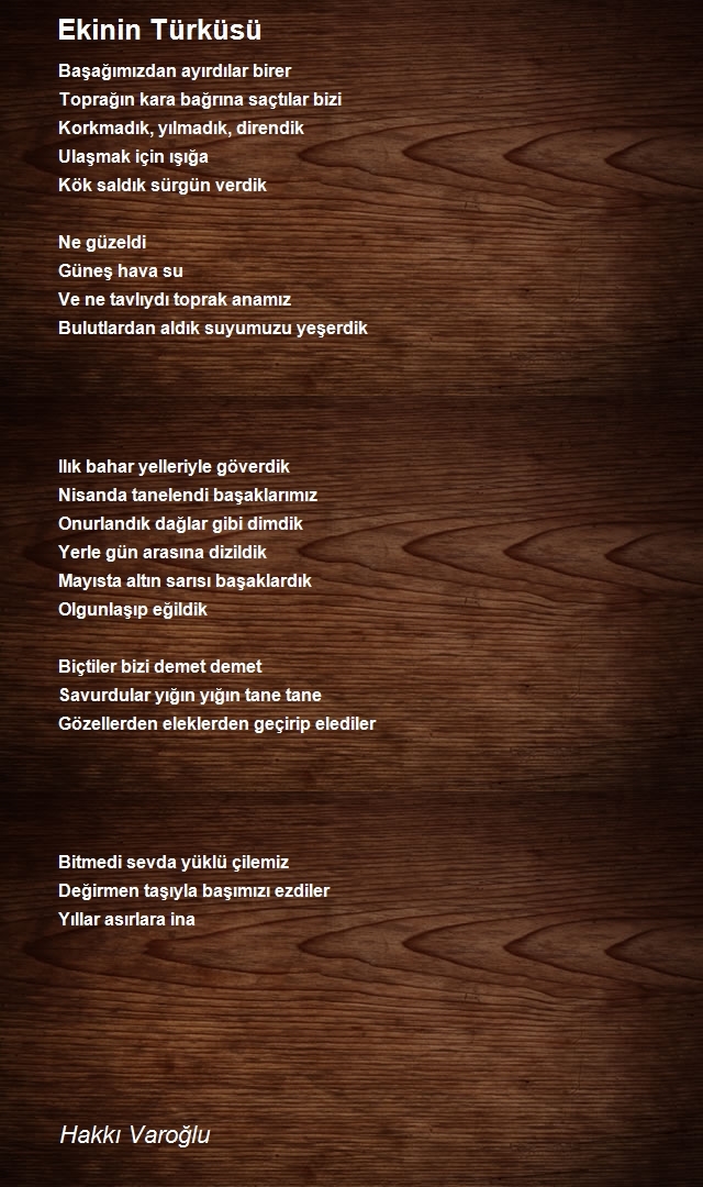 Hakkı Varoğlu