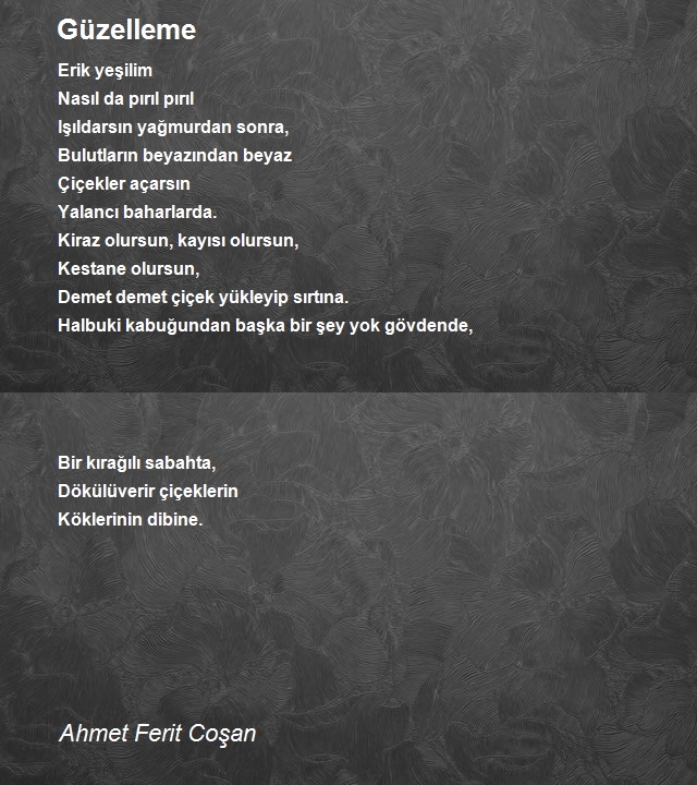 Ahmet Ferit Coşan
