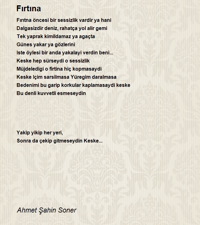 Ahmet Şahin Soner