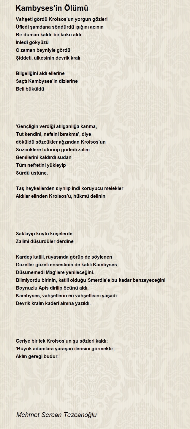 Mehmet Sercan Tezcanoğlu