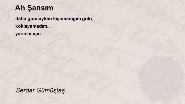 Serdar Gümüştaş