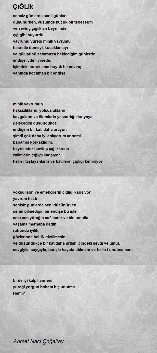 Ahmet Naci Çoğaltay