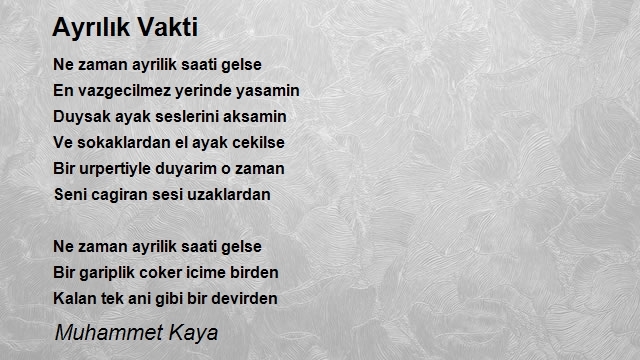 Muhammet Kaya