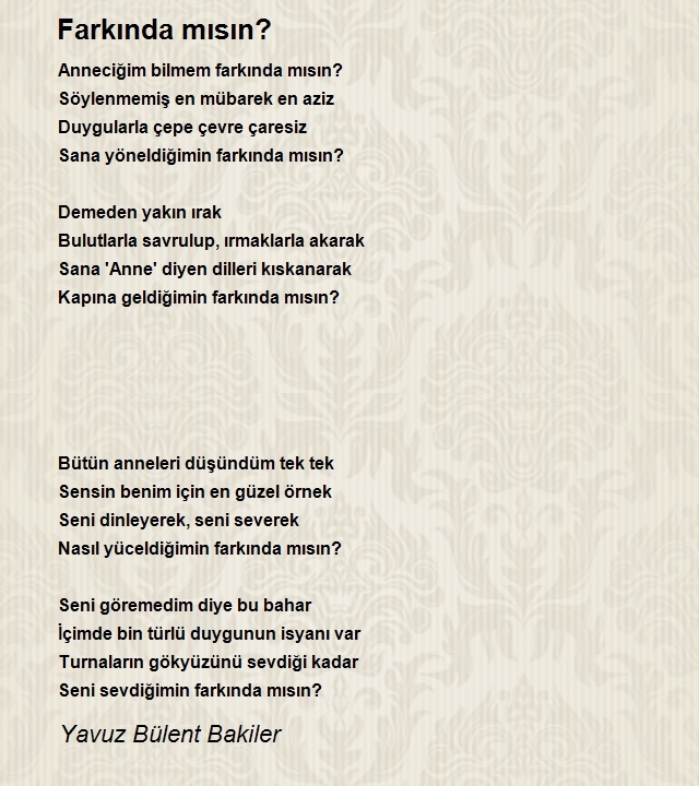 Yavuz Bülent Bakiler