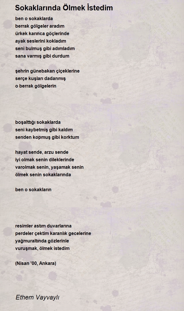 Ethem Vayvaylı