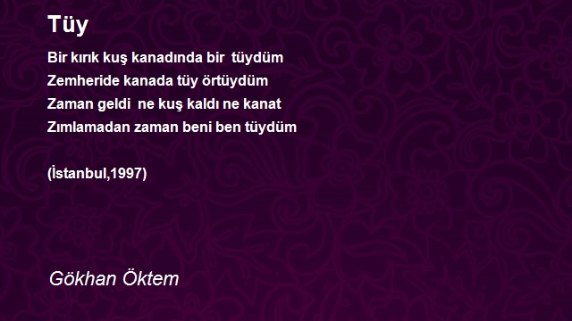 Gökhan Öktem