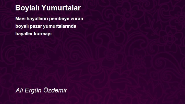 Ali Ergün Özdemir
