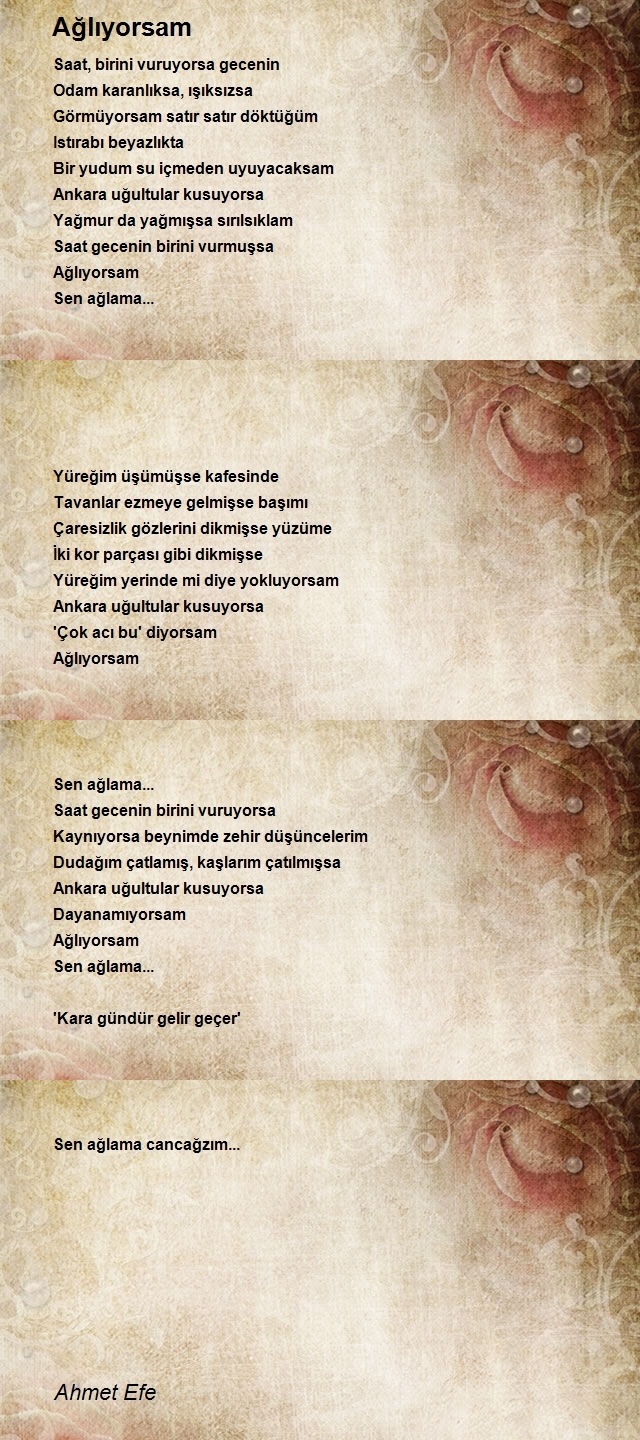 Ahmet Efe