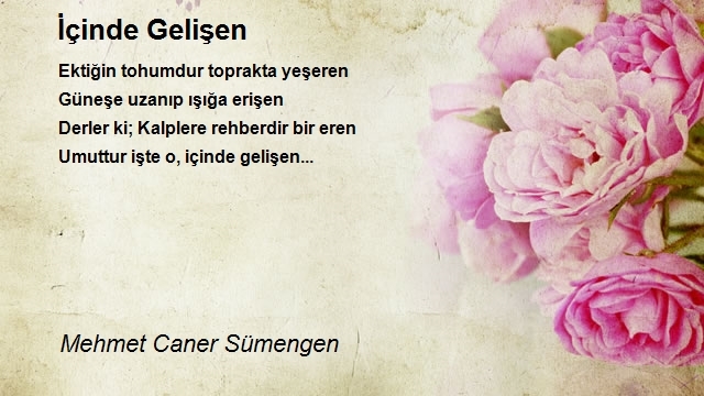 Mehmet Caner Sümengen