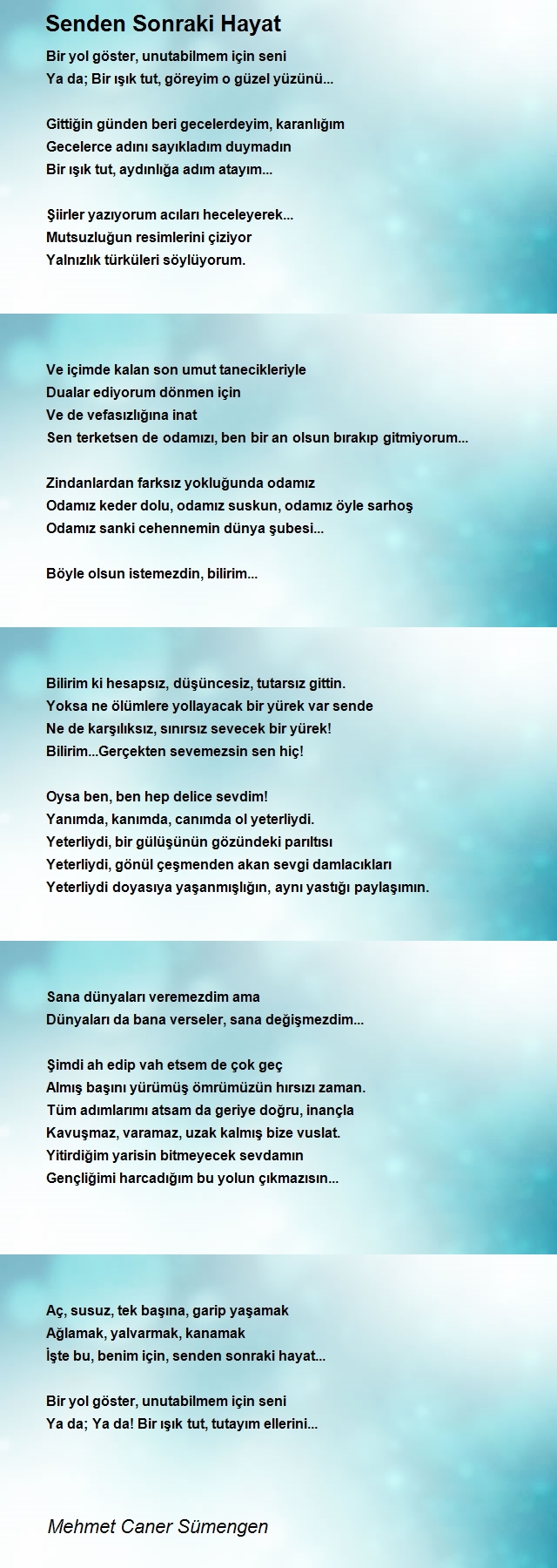 Mehmet Caner Sümengen