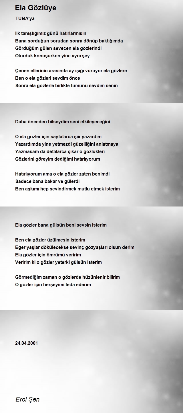 Erol Şen