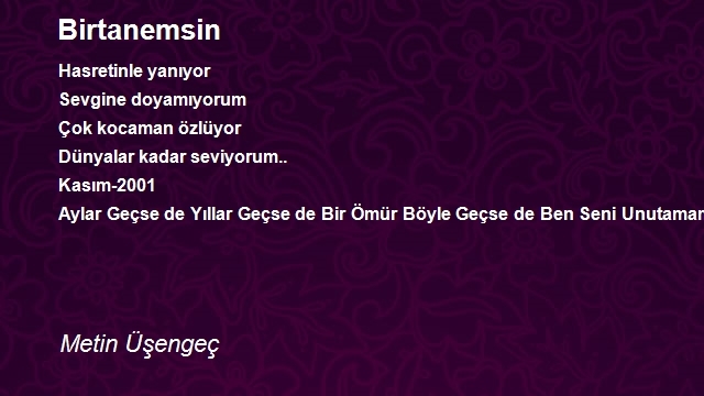 Metin Üşengeç