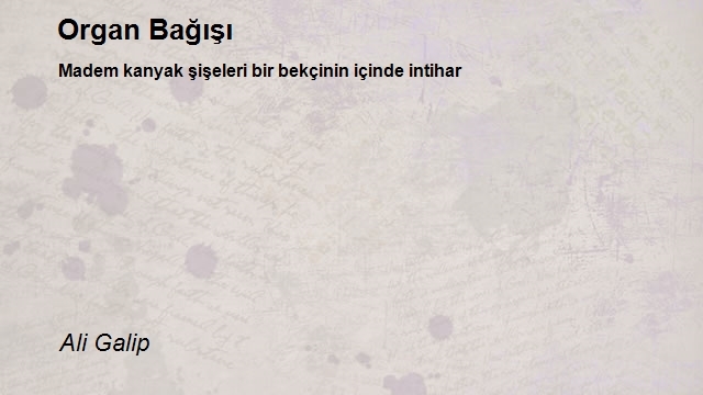 Ali Galip