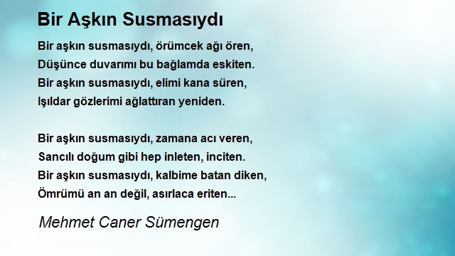 Mehmet Caner Sümengen