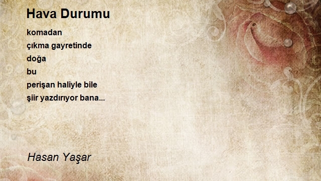 Hasan Yaşar