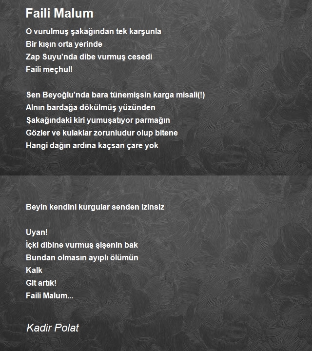 Kadir Polat