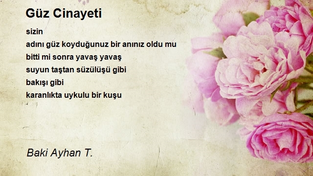 Baki Ayhan T.