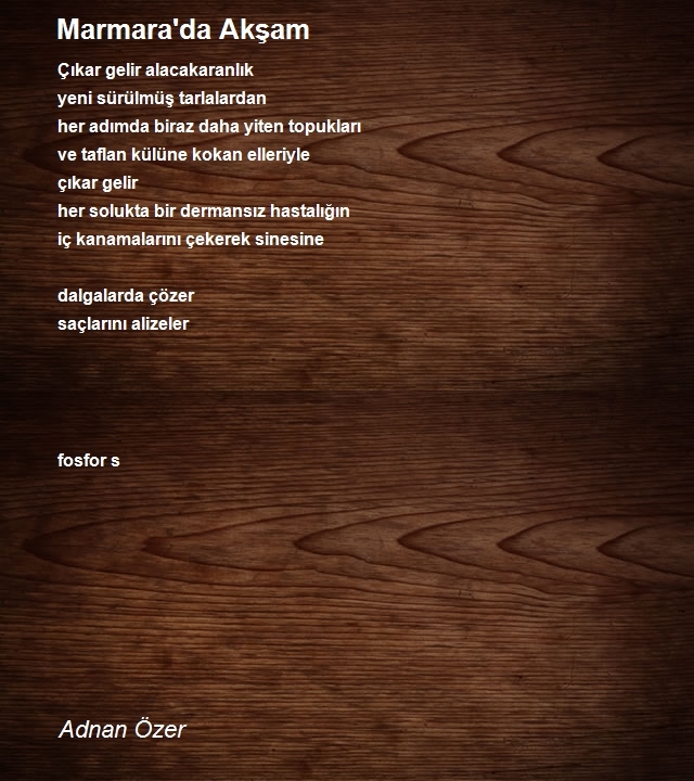 Adnan Özer