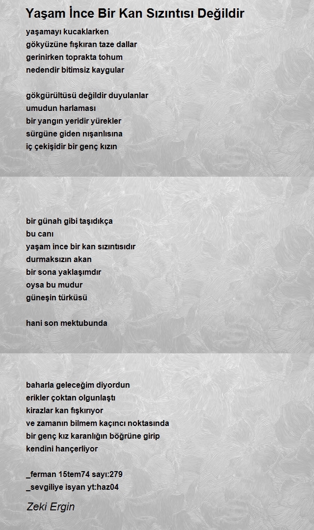 Zeki Ergin