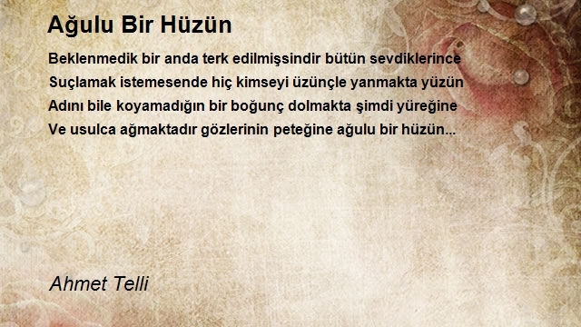 Ahmet Telli