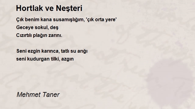Mehmet Taner