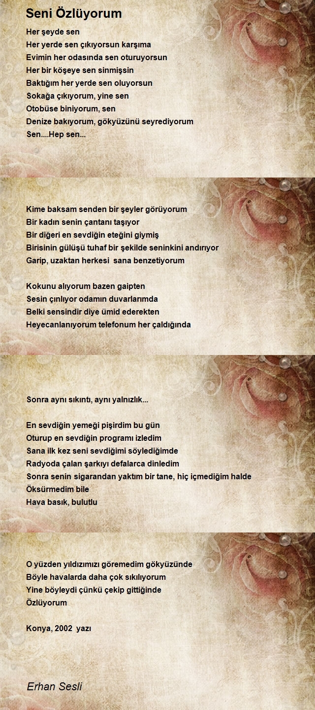 Erhan Sesli