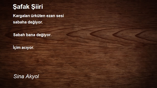 Sina Akyol