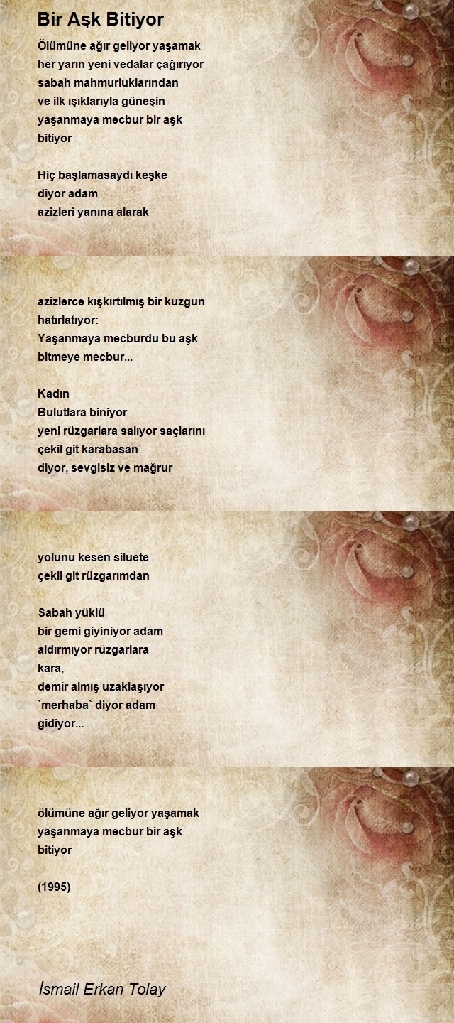 İsmail Erkan Tolay