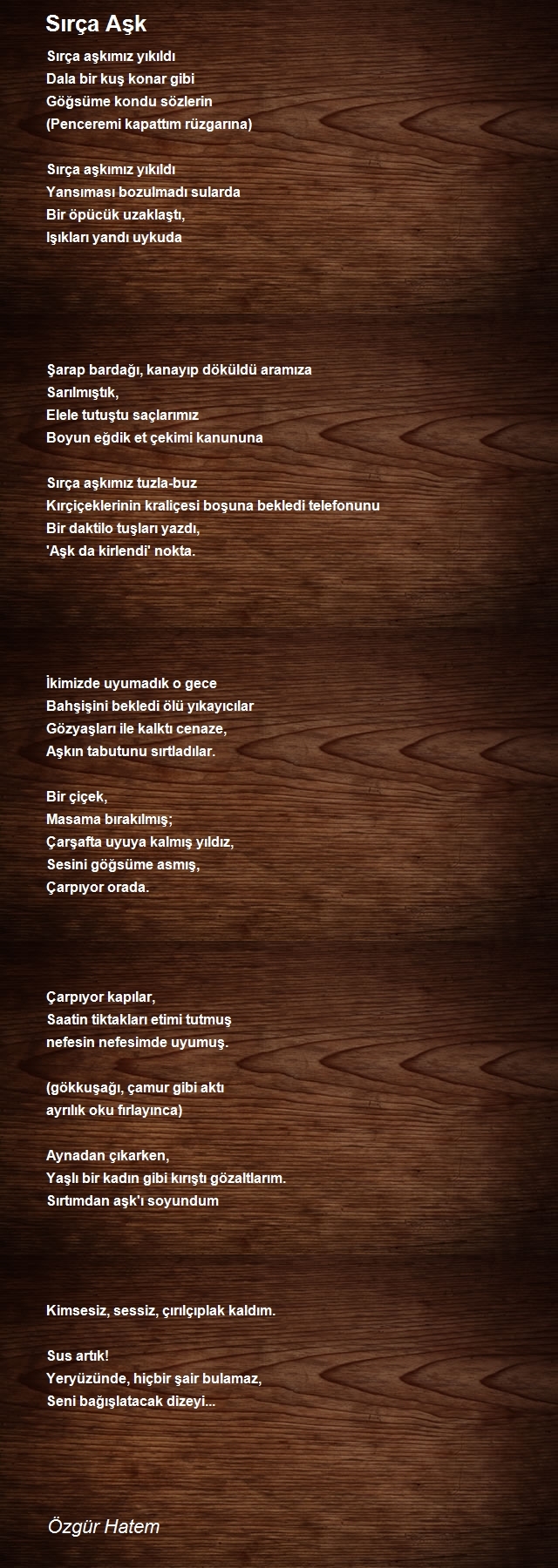 Özgür Hatem