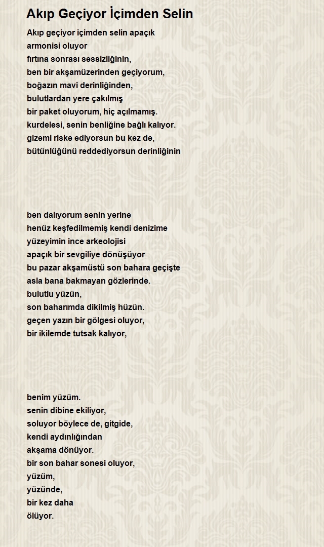 Duygu Günkut