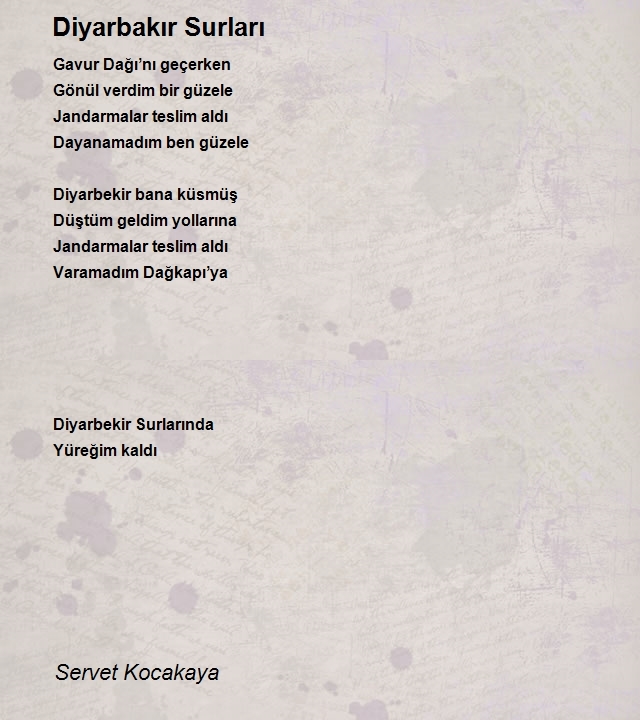Servet Kocakaya