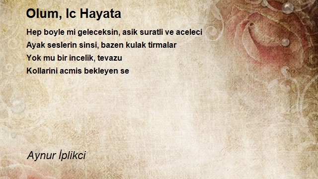 Aynur İplikci